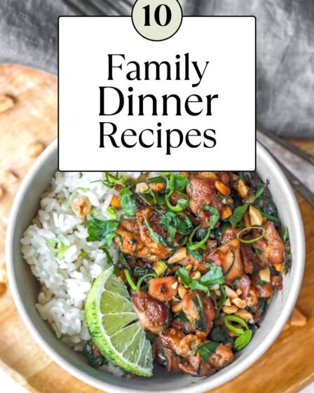 Family Dinner Recipes