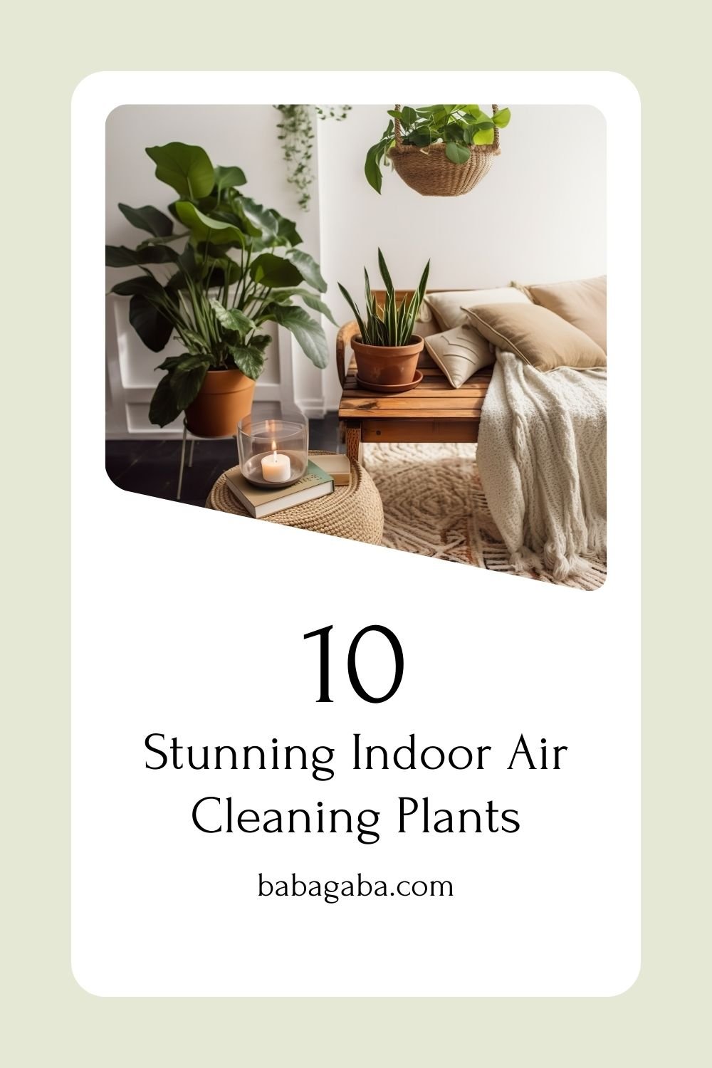 Indoor Air Cleaning Plants